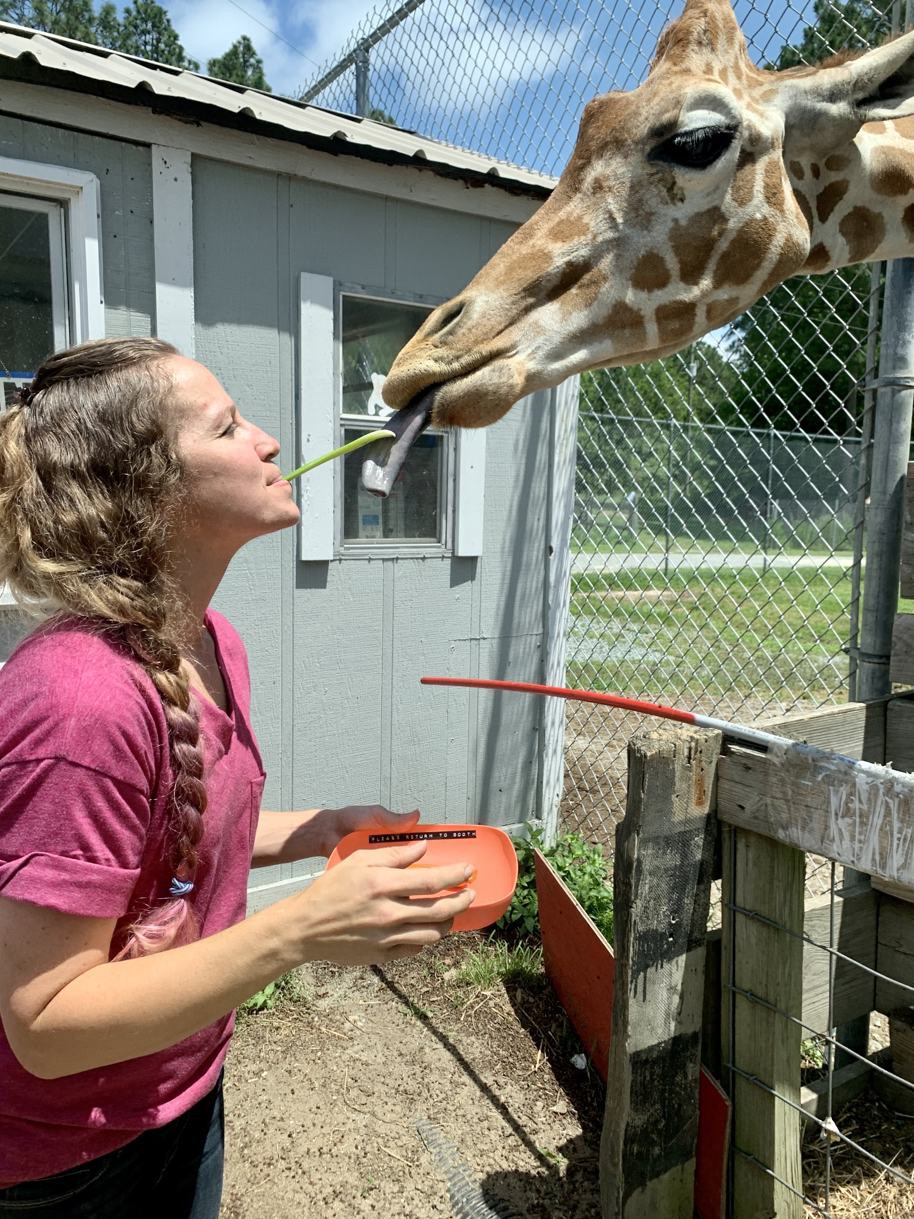 Aloha Zoo